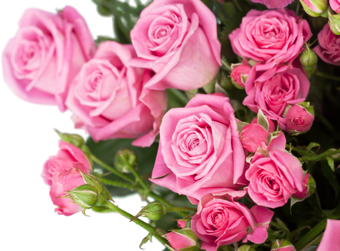 Bouquet de Roses seulement